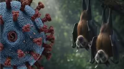 #عاجل..ما قصة الفيروس الجديد ..طبيب يجيب ؟