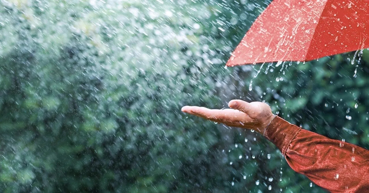 #عاجل...الأرصاد: المنخفض الجوي الأخير رفع الموسم المطري بنسبة 1%–5%