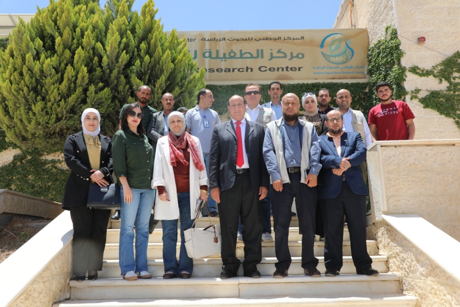 مدير عام 