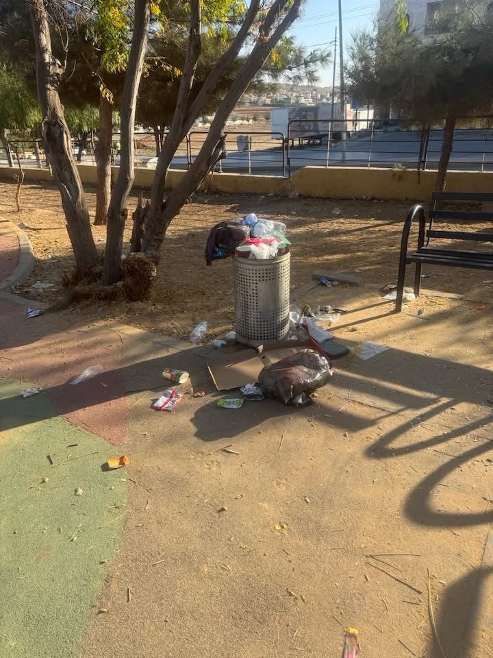 صورة من شفا بدران تُشعل الجدل: وزير سابق ينتقد سلوكيات تشوّه وجه الوطن ـ (صور)