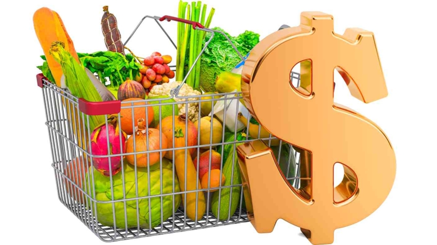 الجوع يطارد العالم العربي رغم التراجع العالمي في أسعار الغذاء