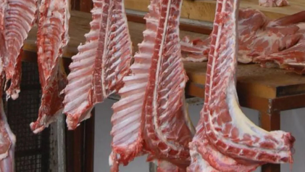 مربي المواشي: أسعار اللحوم البلدية والمستوردة في الأردن غالية #عاجل