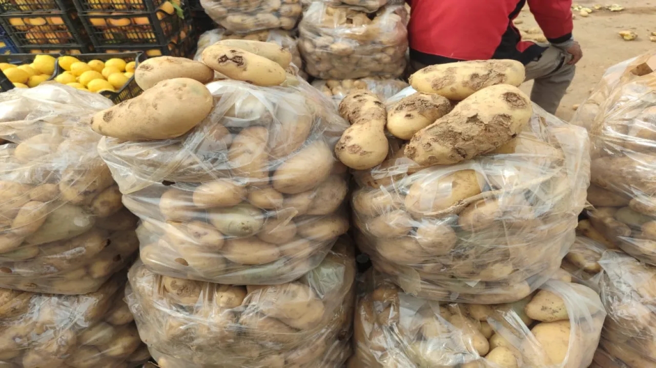 إتلاف كميات من الموز والبطاطا غير الصالحة للاستهلاك في إربد
