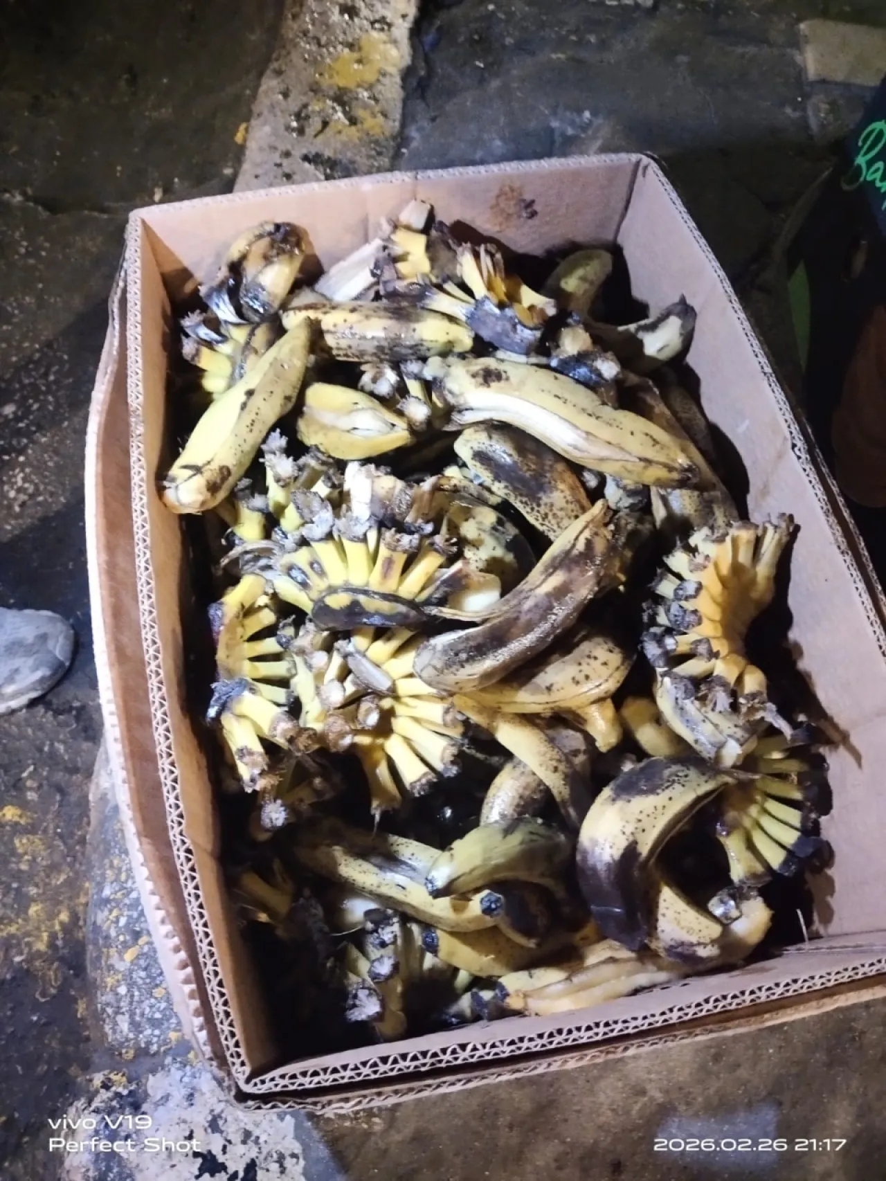 ضبط وإتلاف موز فاسد في إربد… ماذا حدث؟