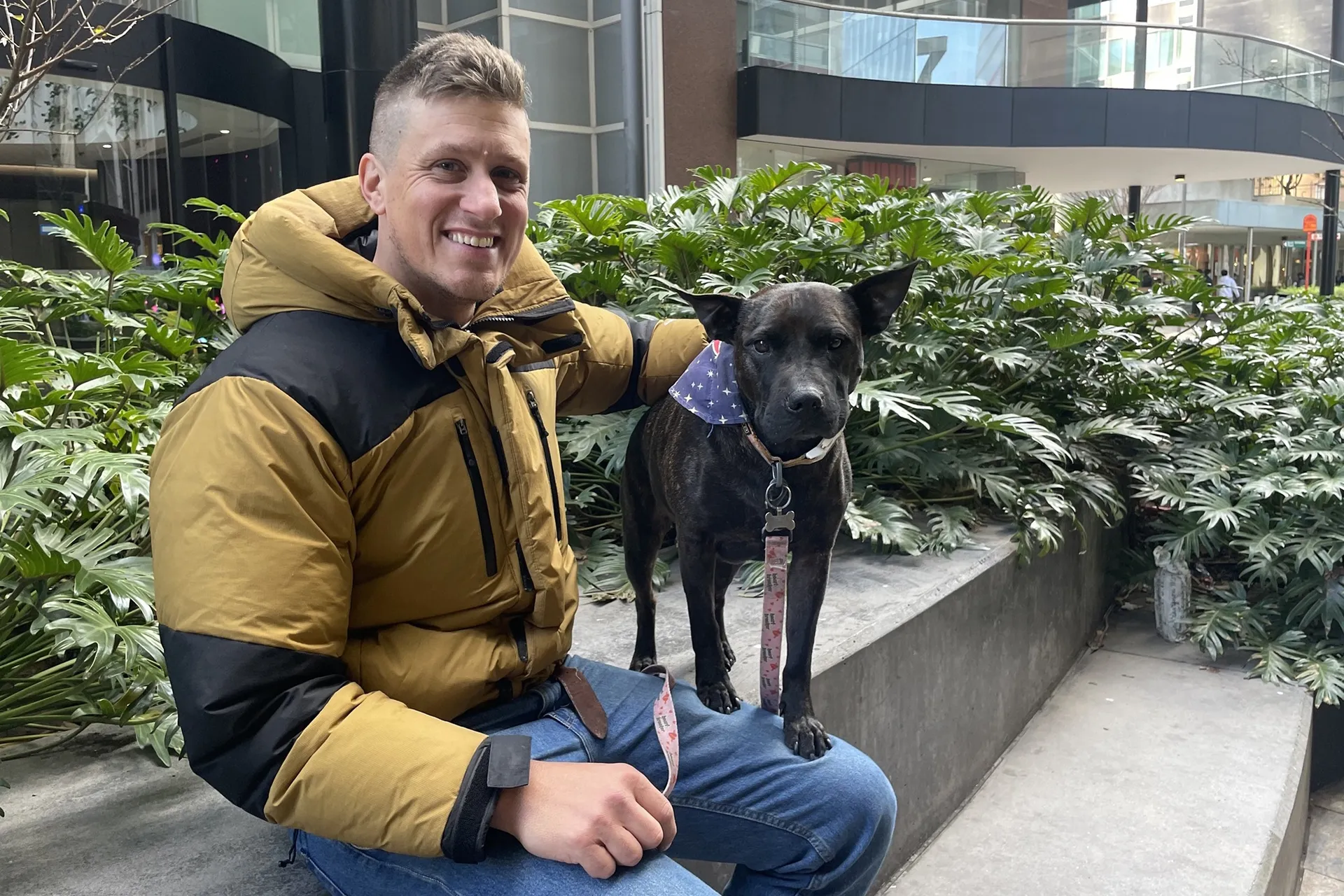 شات جي بي تي ينقذ حياة كلبة من السرطان بتقنية الذكاء الاصطناعي