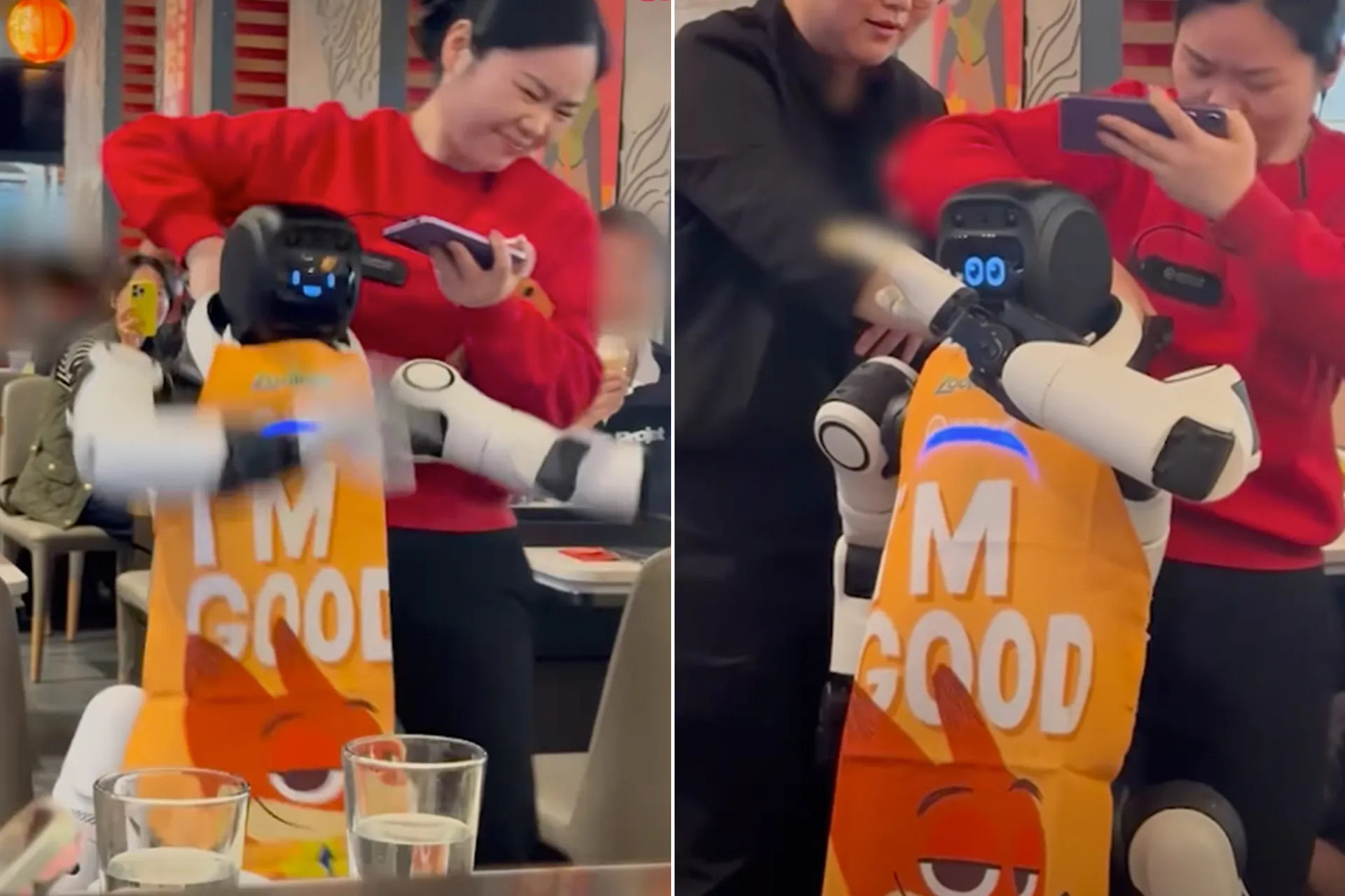 روبوت يثير الفوضى في مطعم بكاليفورنيا بتحطيم الاواني