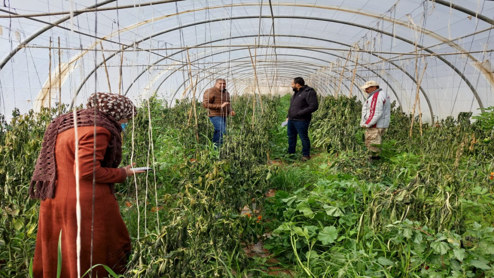 زراعة العقبة تحذر من طقس غير مستقر وتدعو لاخذ الاحتياطات