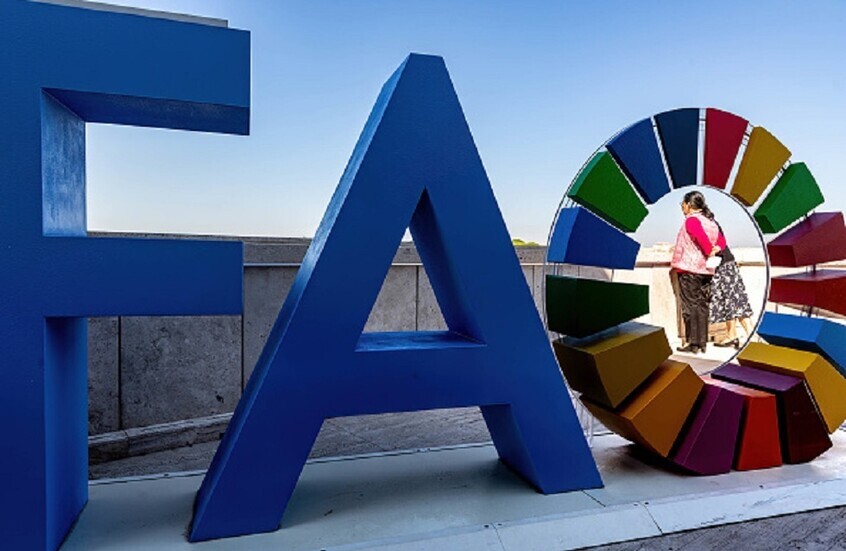 الفاو تحذر: أزمة هرمز تهدد الأمن الغذائي العالمي