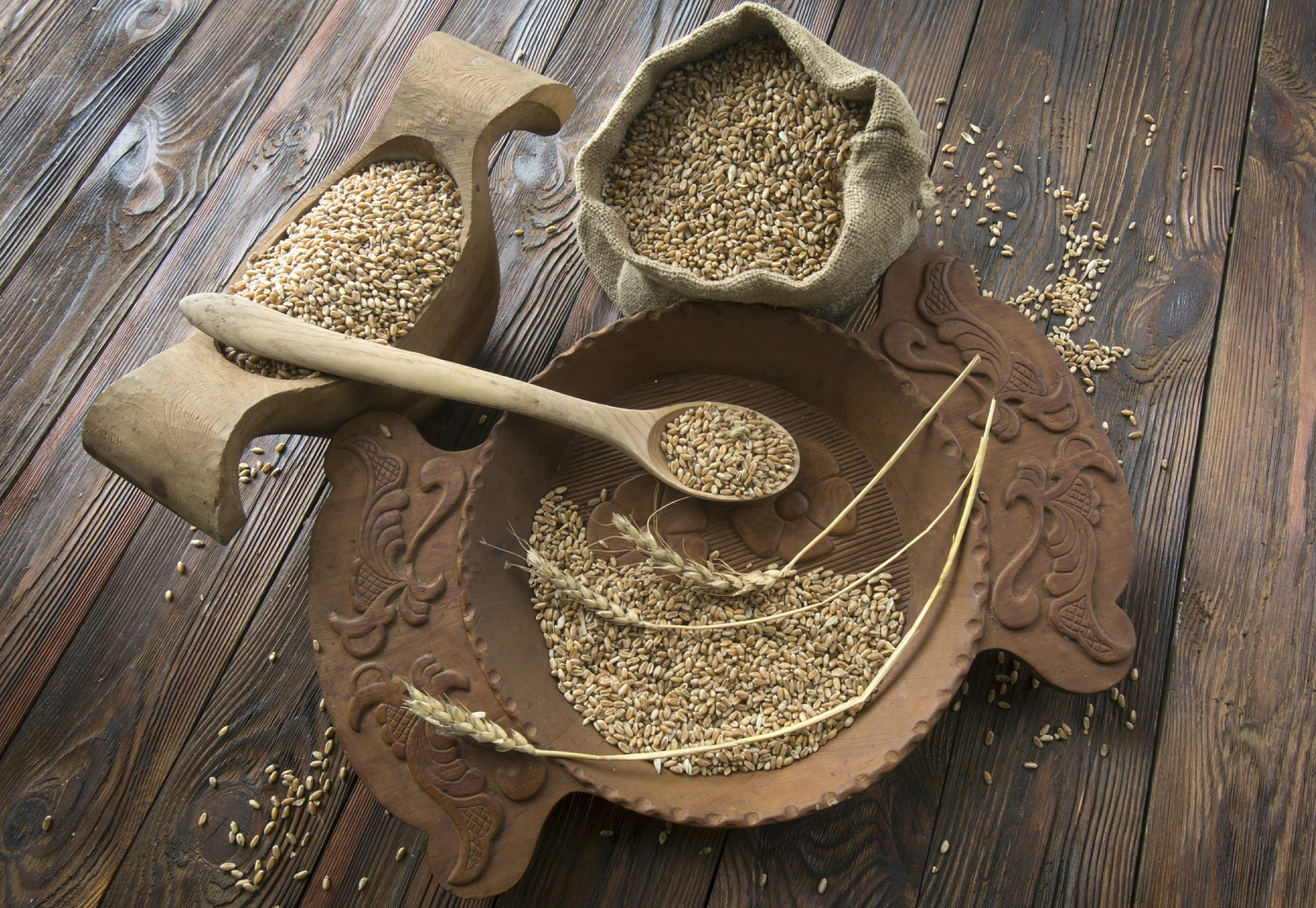 غولدمان ساكس: اضطراب إمدادات الأسمدة يهدد أسعار الحبوب العالمية