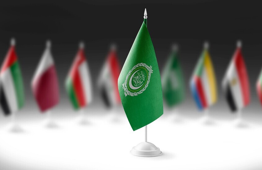 مصر تدعو لتشكيل قوة عربية مشتركة لحماية السيادة