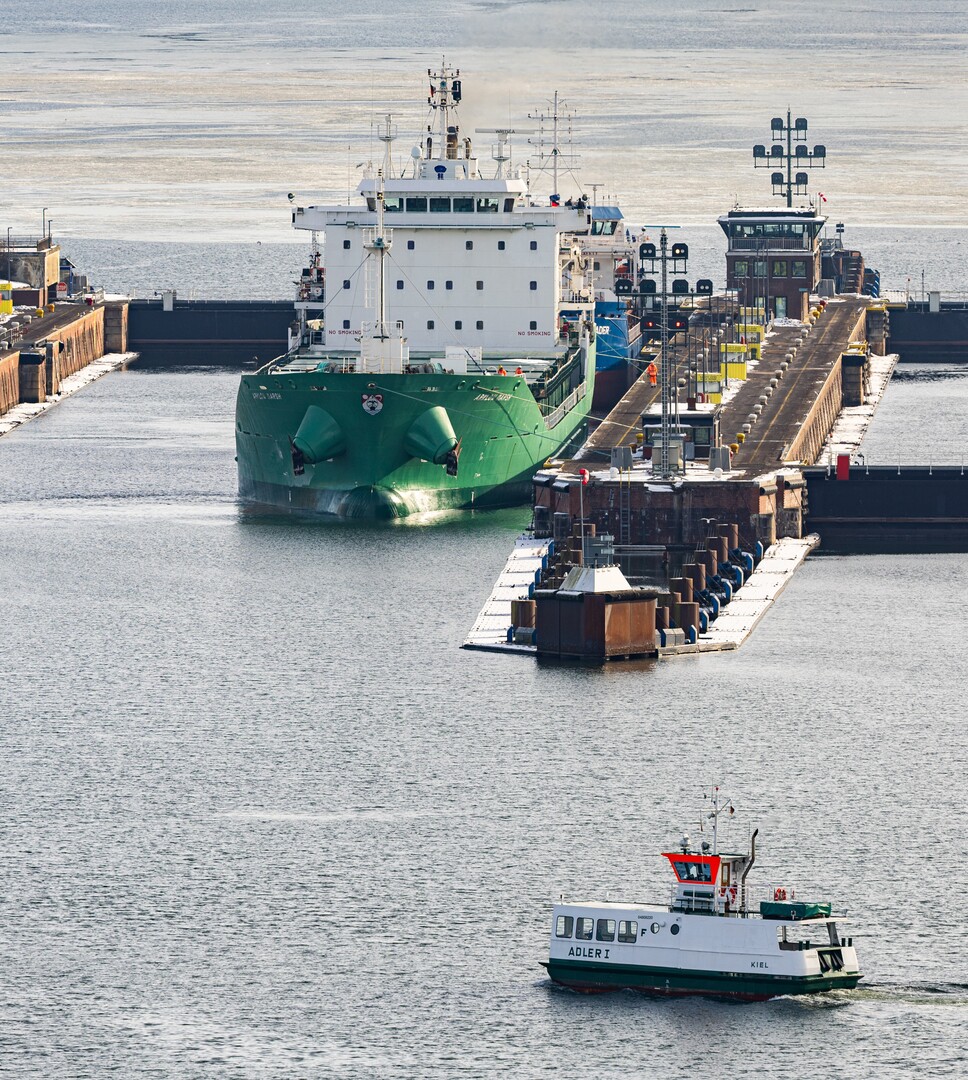 سوريا تدشن باخرة لنقل المواشي من مرفأ بانياس بقدرة 20 ألف رأس