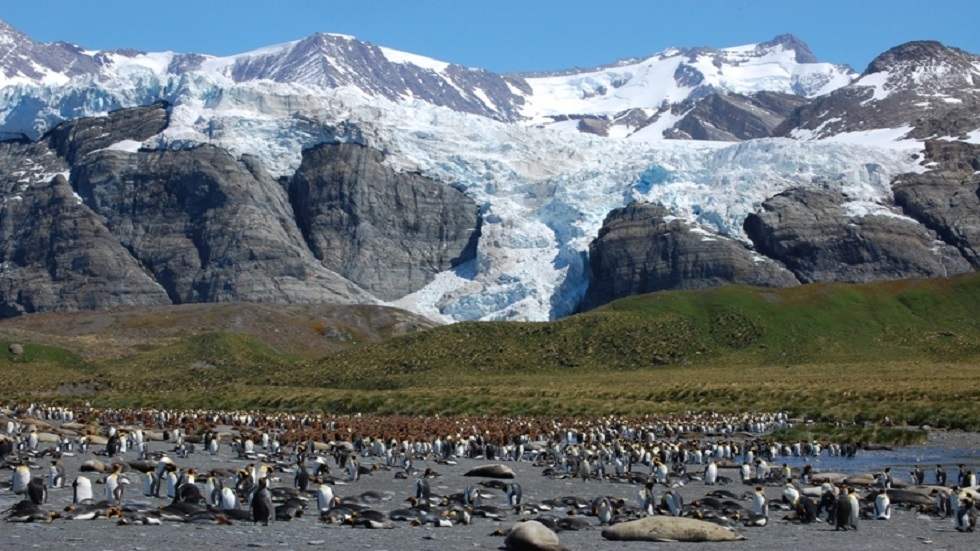 اكتشاف حزام ناقل عملاق يربط أنتاركتيكا بالمحيطات