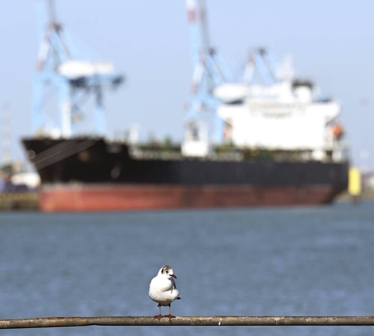 ايران تدرس فرض رسوم على عبور السفن في مضيق هرمز