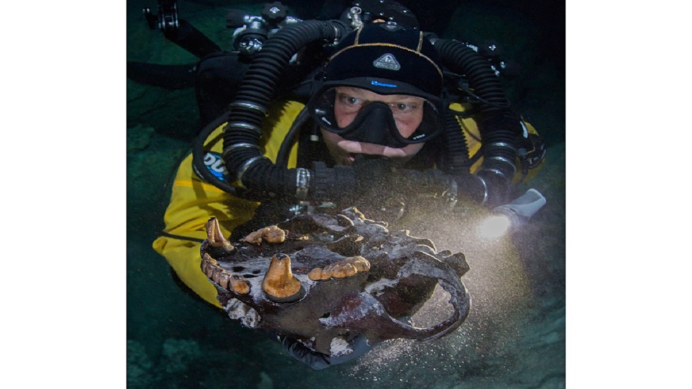 اكتشاف عظام حيوانات عملاقة من العصر الجليدي في كهف تكساس