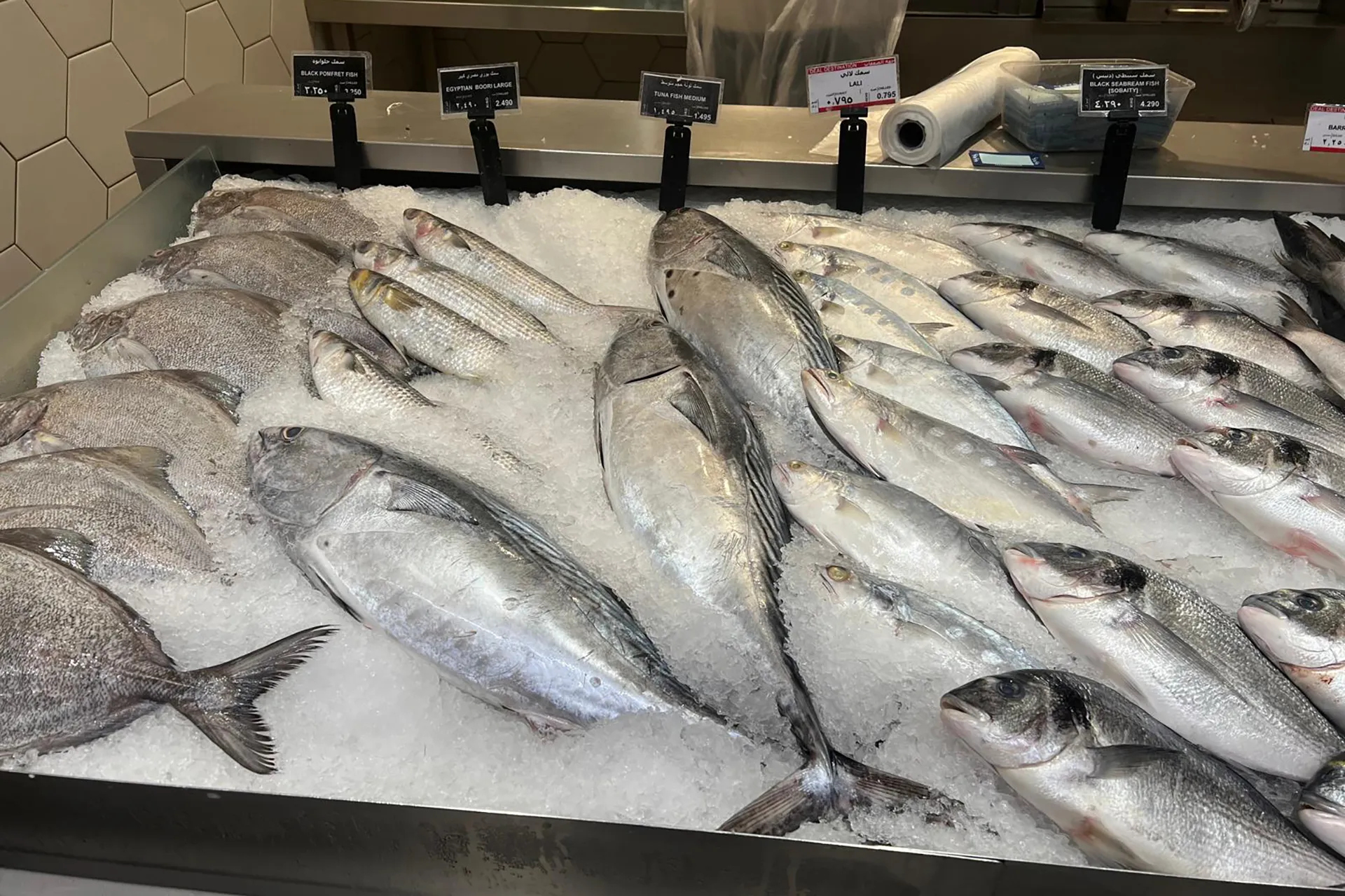 صيادو الكويت يواصلون رحلات الصيد لتوفير الاسماك رغم التوترات