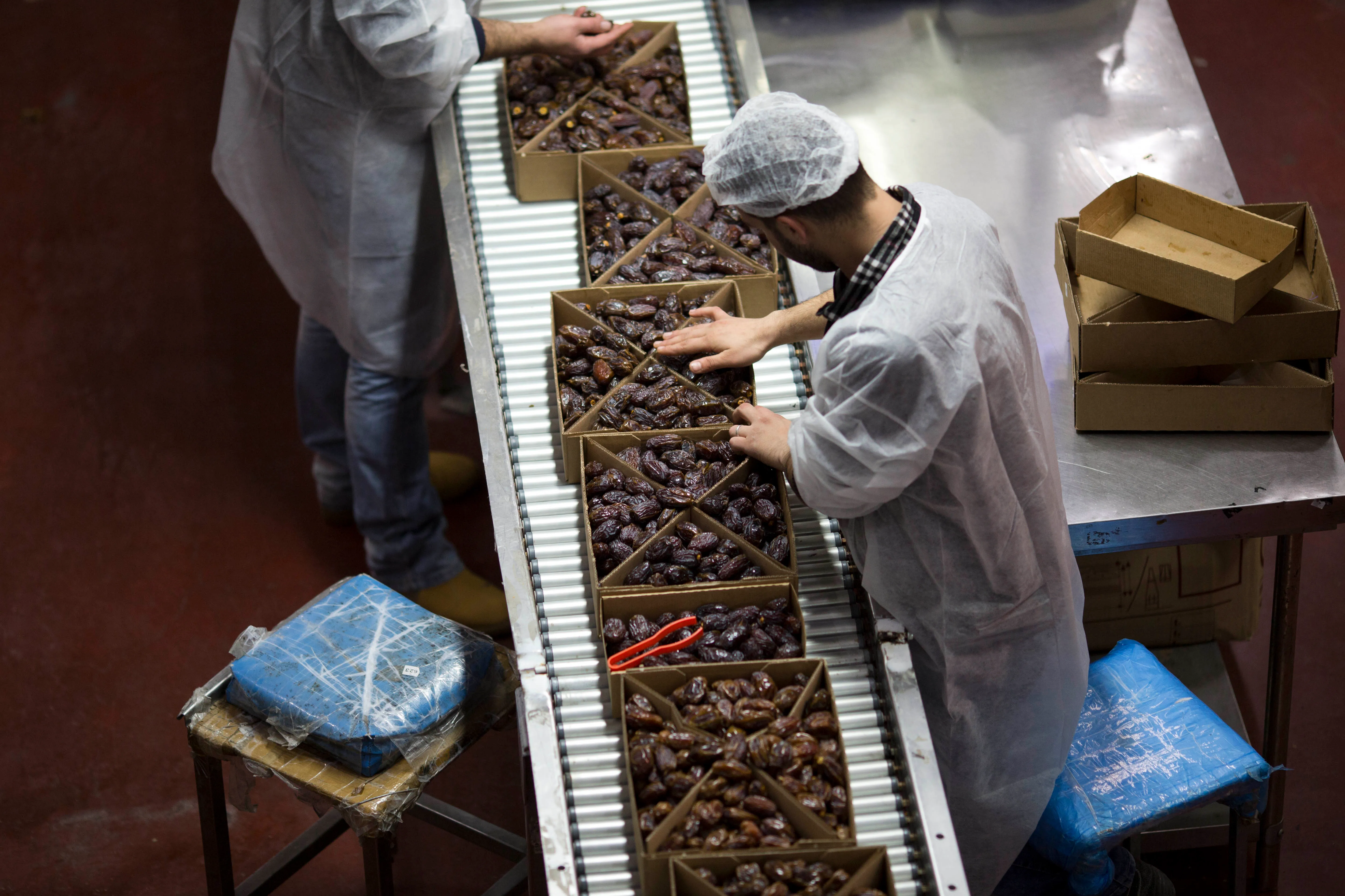 شلل الصادرات الزراعية يكبد المزارعين خسائر فادحة