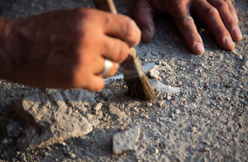 اكتشاف مدينة اثرية عمرها 3000 عام في اوزبكستان على طريق الحرير