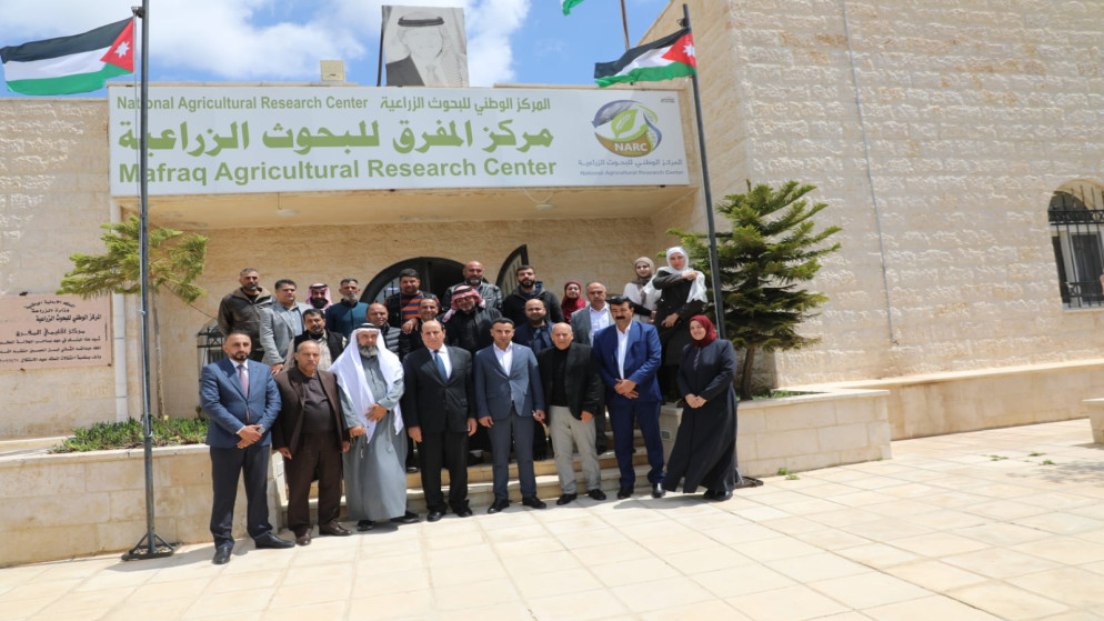 تمكين صغار مربي الثروة الحيوانية في المفرق لتعزيز الأمن الغذائي