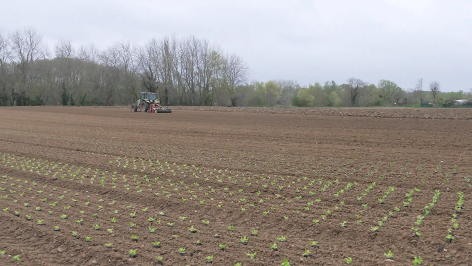 تأثير التصعيد العسكري في الشرق الأوسط على الاقتصاد الفرنسي