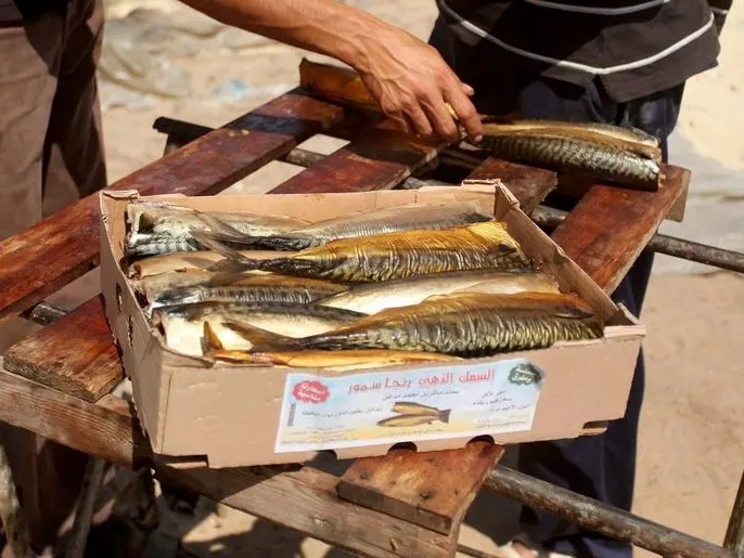 تغير المناخ يهدد سمك الرنجة ويؤثر على احتفالات شم النسيم في مصر