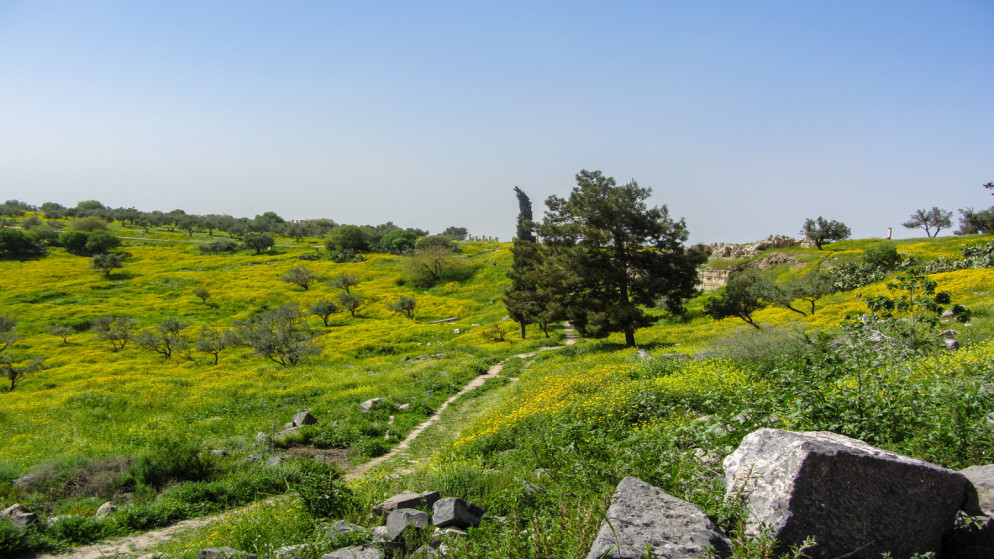 طقس ربيعي معتدل وارتفاع درجات الحرارة في الاردن