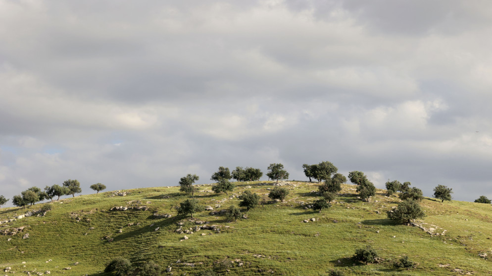 توقعات طقس الجمعة: ارتفاع درجات الحرارة مع أمطار غزيرة في مناطق متفرقة