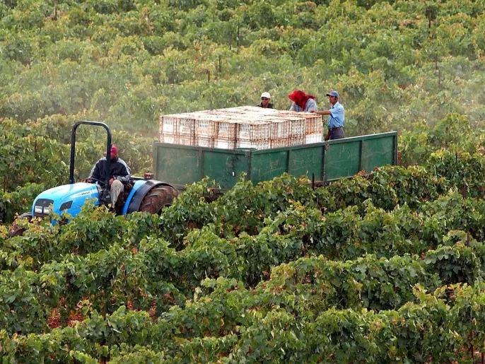 المغرب يتوقع نموا اقتصاديًا بنسبة 4.7% في الربع الثاني