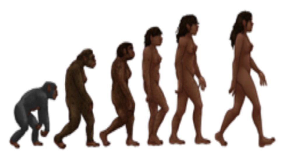 دراسة تكشف تسارع تطور الإنسان بعد ظهور الحضارة