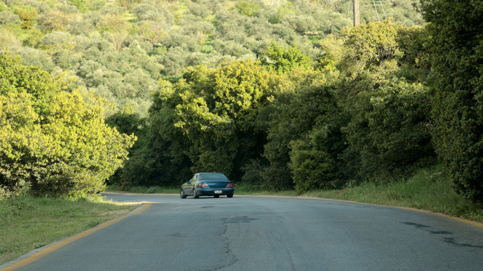 ارتفاع درجات الحرارة في الاردن مع أجواء دافئة حتى الأحد