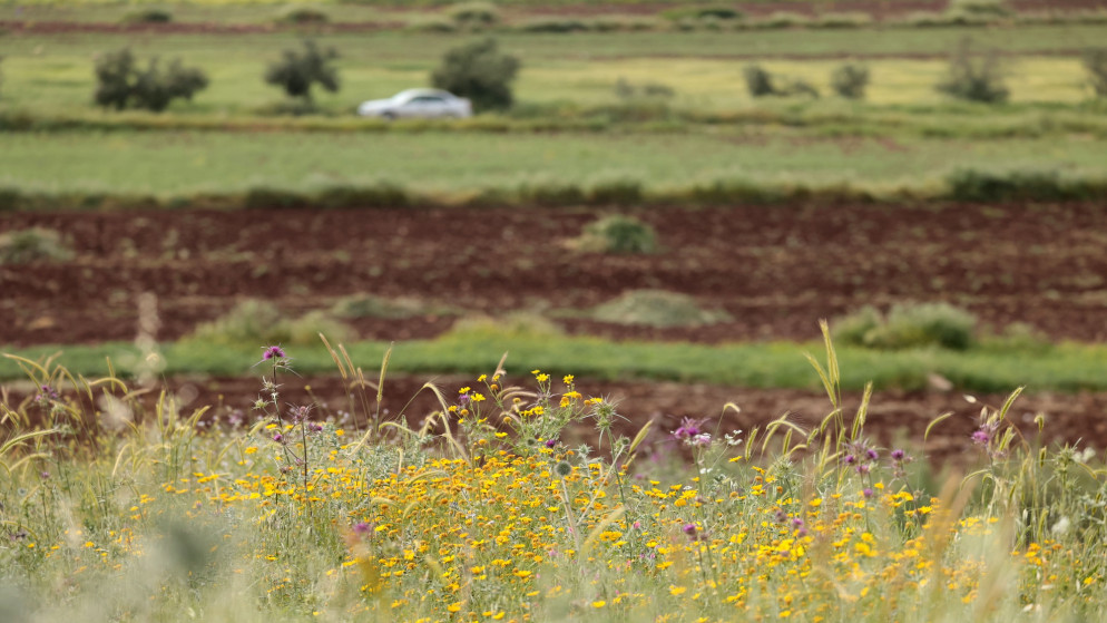 تحذيرات هامة للمتنزهين في عطلة عيد العمال بالأردن