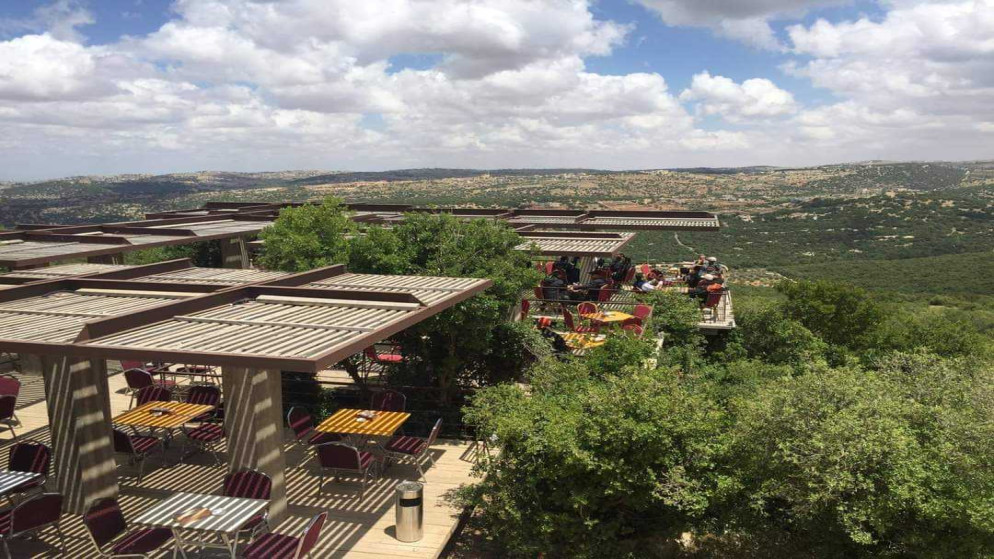 محمية غابات عجلون وجهة بيئية رائدة تعزز السياحة المستدامة