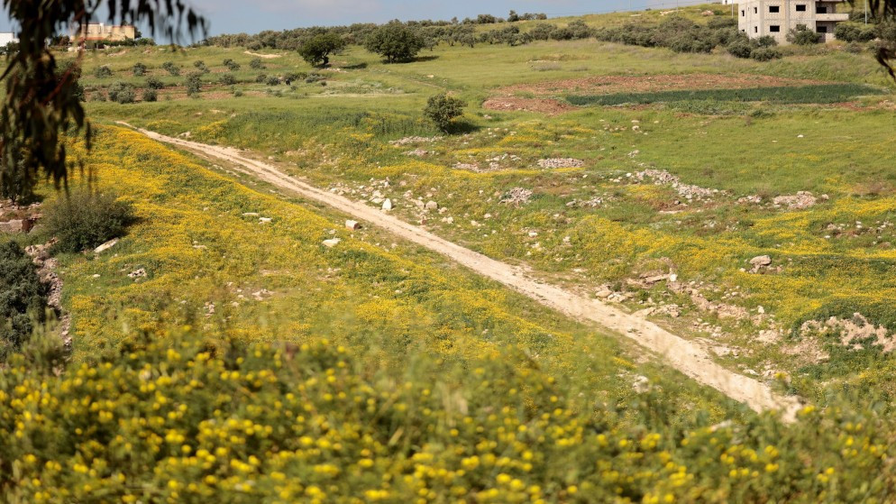 طقس مشمس ودافئ في الاردن مع تغيرات طفيفة خلال الاسبوع