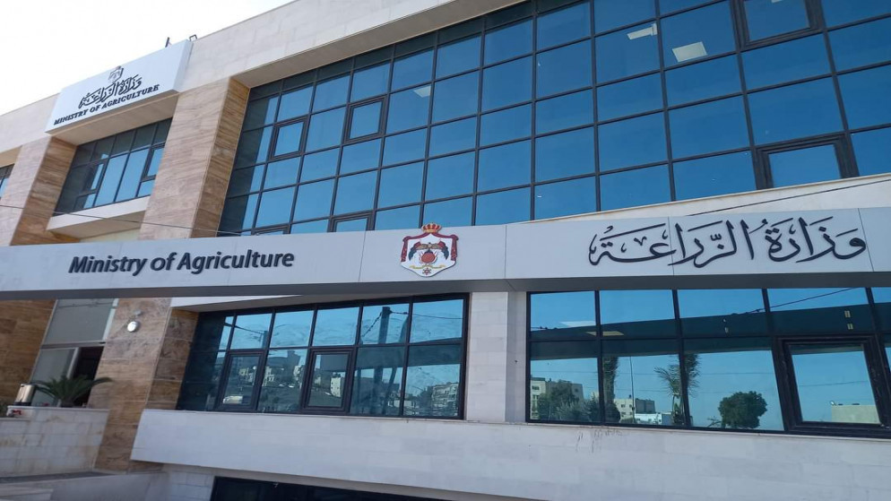 حملات توعية ورقابة في الأزرق للحد من حرائق الغابات