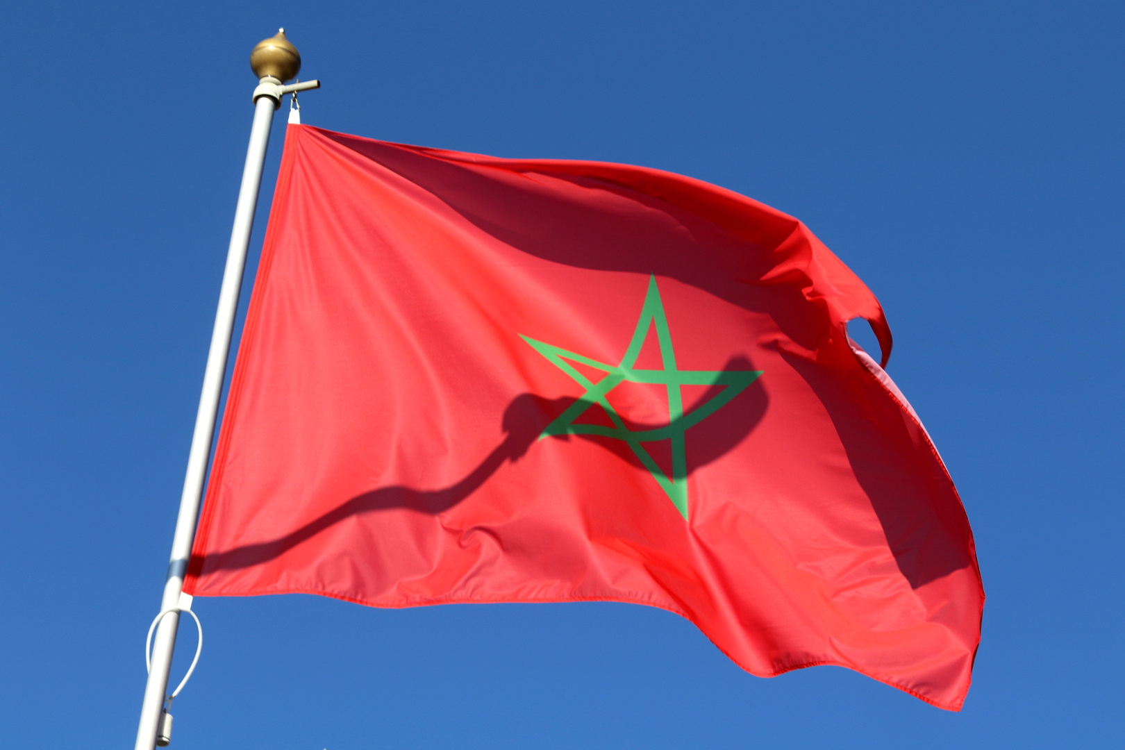 تسريع المحادثات بين كوريا الجنوبية والمغرب حول اتفاقية شراكة اقتصادية شاملة