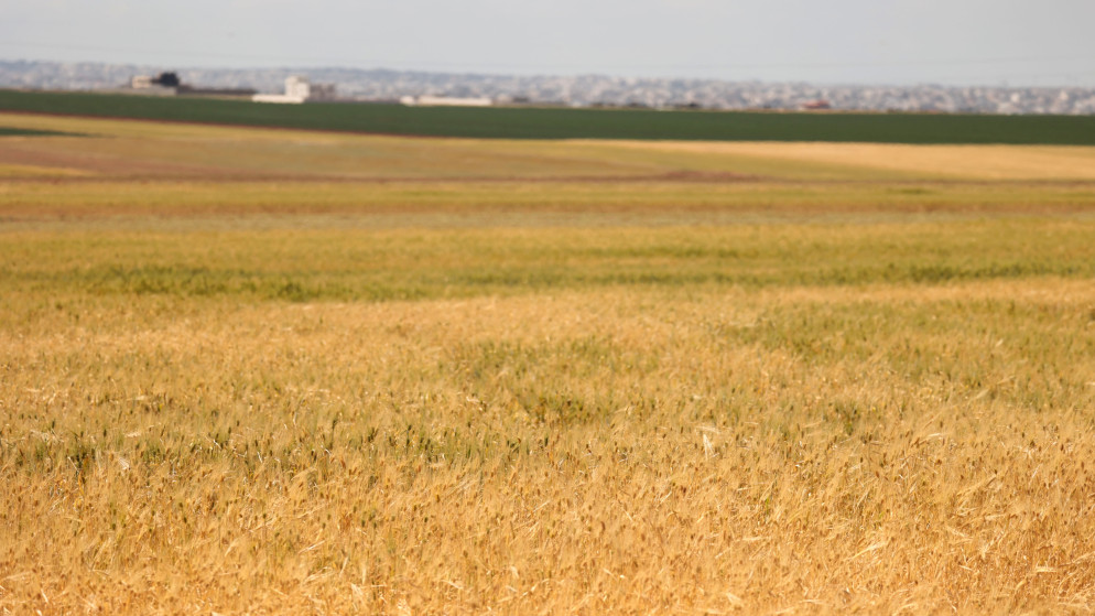 ارتفاع درجات الحرارة في الاردن الثلاثاء