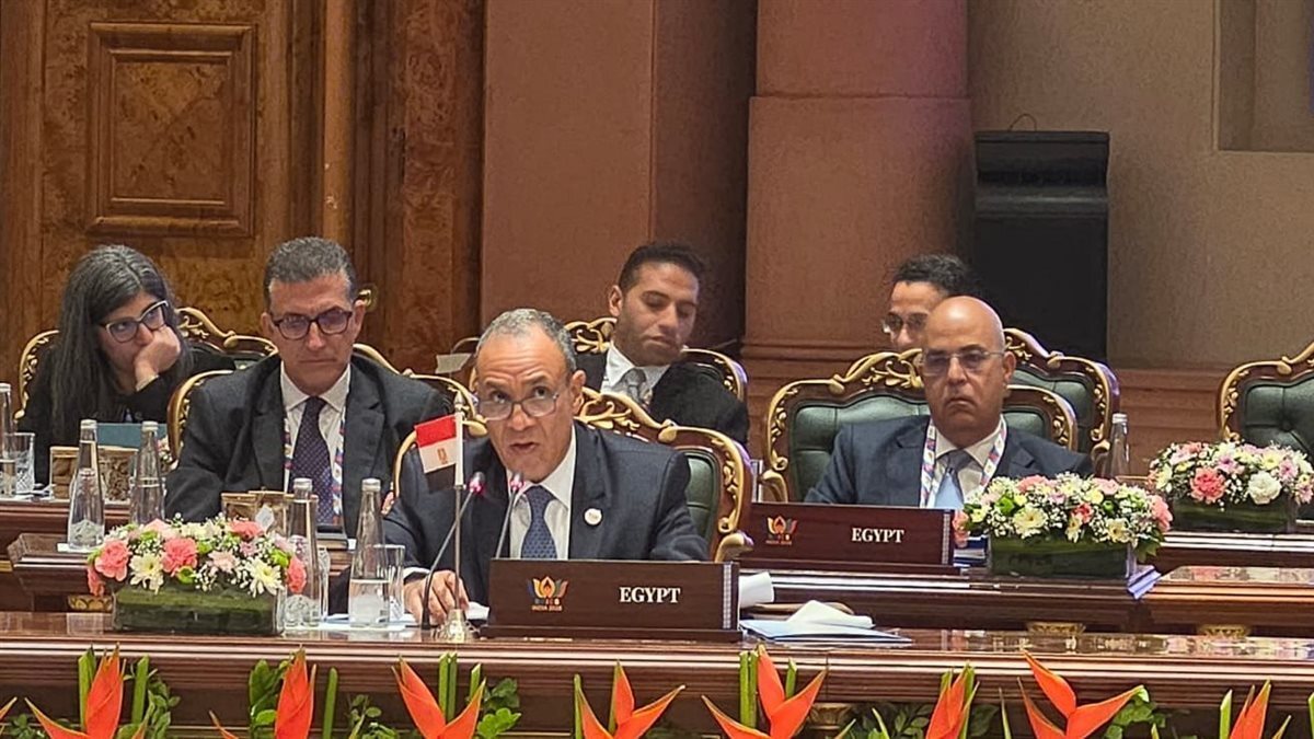 مصر تدعو لتعزيز التعاون في مجالات حيوية خلال قمة بريكس