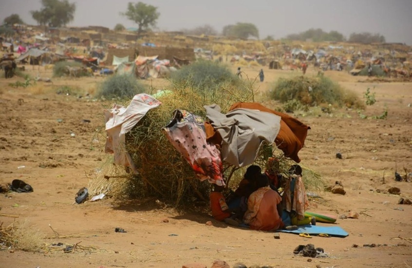 19.5 مليون سوداني يواجهون الجوع الشديد وسط تصاعد الصراع