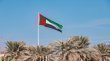 الدفاعات الجوية الإماراتية تعلن التصدي لثلاث مسيرات في حادثة قرب محطة براكة النووية
