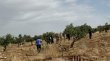 الجيش يسقط طائرة مسيرة في الأجواء الأردنية