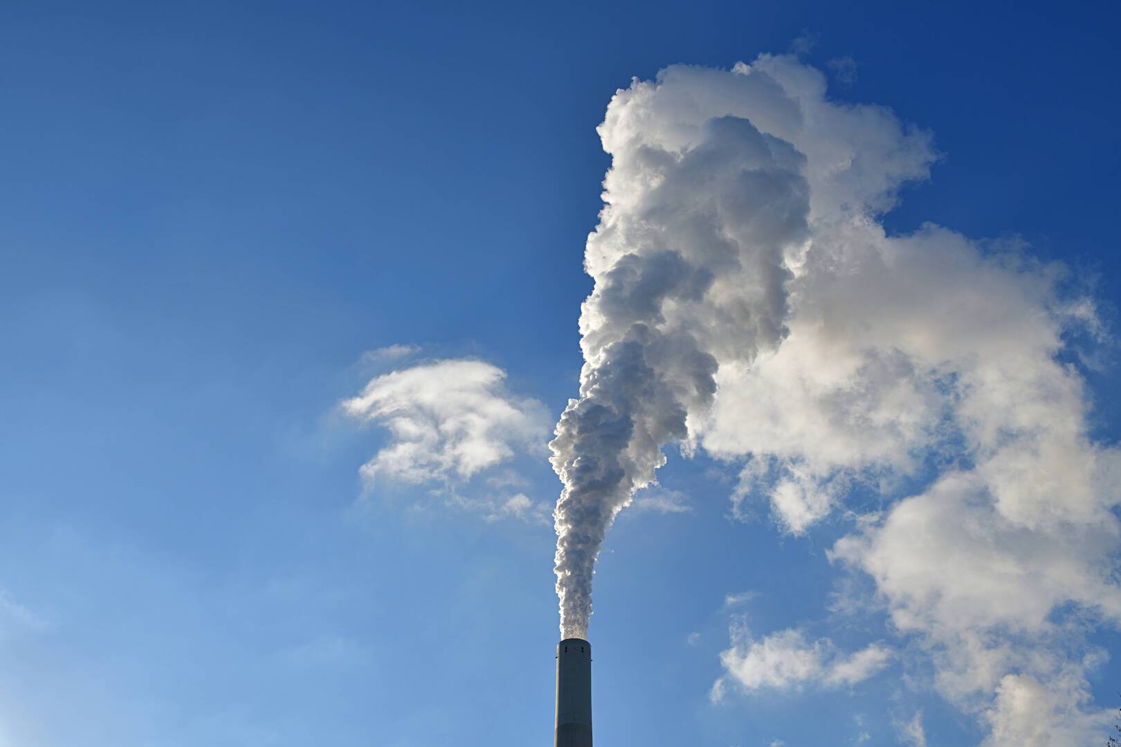 {title}