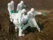هشاشة النظام الصحي العالمي تتجلى من جديد مع تفشي إيبولا وهانتا