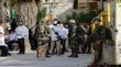مستوطنون يعتدون على الفلسطينيين ويسرقون الأغنام في الخليل
