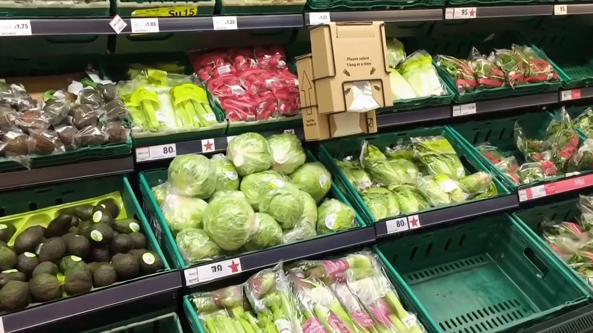 {title}