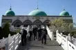 الصين تتصدر سوق المنتجات الحلال عالميًا بمبيعات تتجاوز 32 مليار دولار