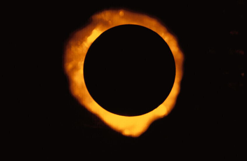 {title}