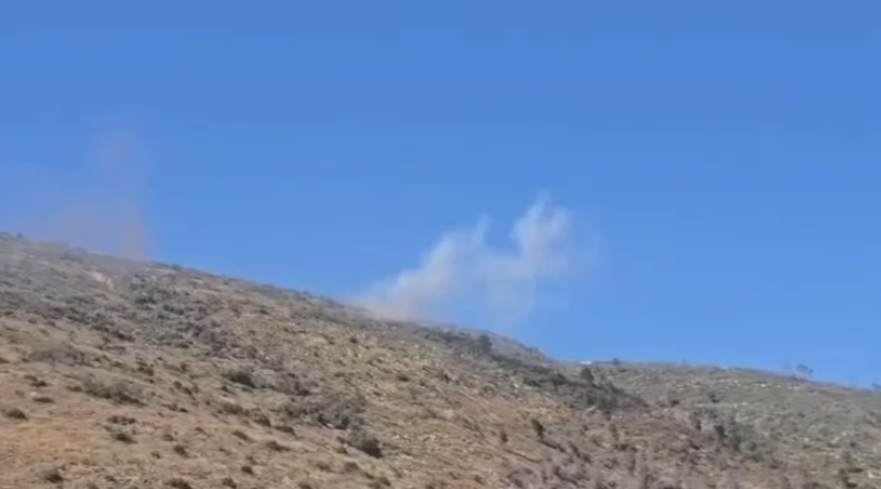 {title}