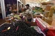 استقرار التضخم في تونس عند 5.5% للشهر الثاني