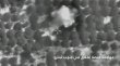 غارات إسرائيلية تسفر عن 15 قتيلا و40 جريحا في جنوب لبنان
