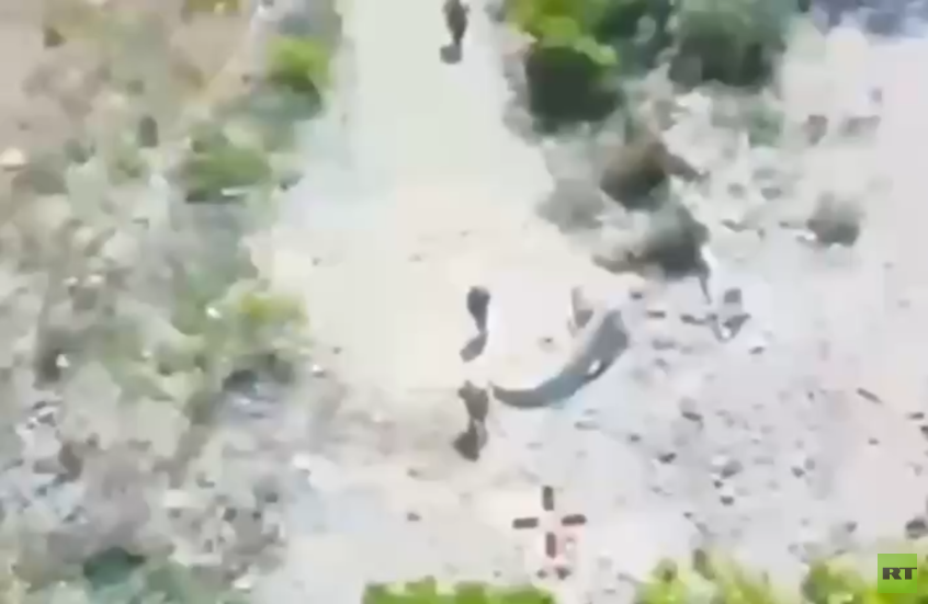 {title}