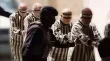 فضيحة سرقة الأعضاء في سوريا تثير موجة غضب عارمة ومطالبات بالمحاسبة